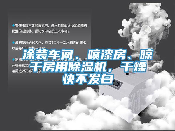 涂裝車間、噴漆房、晾干房用除濕機(jī)，干燥快不發(fā)白