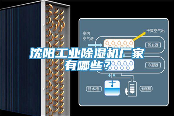 沈陽工業(yè)除濕機廠家有哪些？