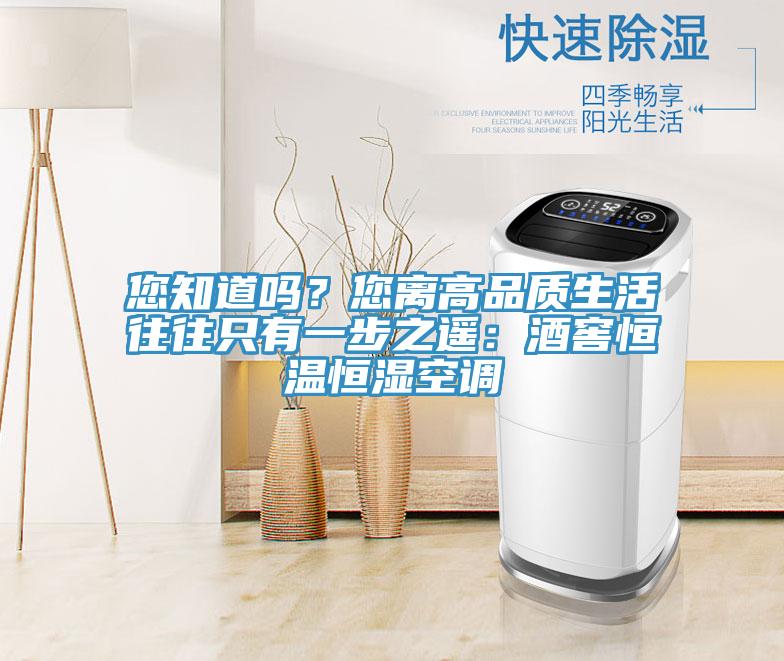 您知道嗎？您離高品質(zhì)生活往往只有一步之遙：酒窖恒溫恒濕空調(diào)