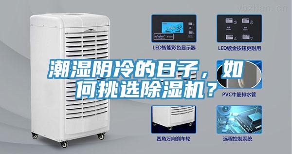 潮濕陰冷的日子，如何挑選除濕機(jī)？