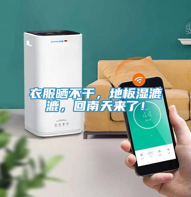 衣服曬不干，地板濕漉漉，回南天來了！