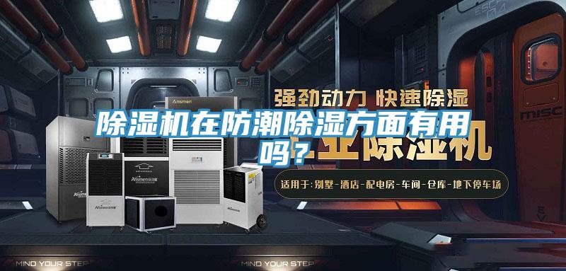 除濕機(jī)在防潮除濕方面有用嗎？