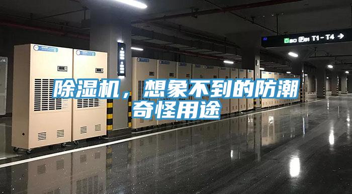 除濕機，想象不到的防潮奇怪用途