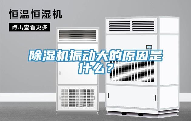 除濕機(jī)振動(dòng)大的原因是什么？