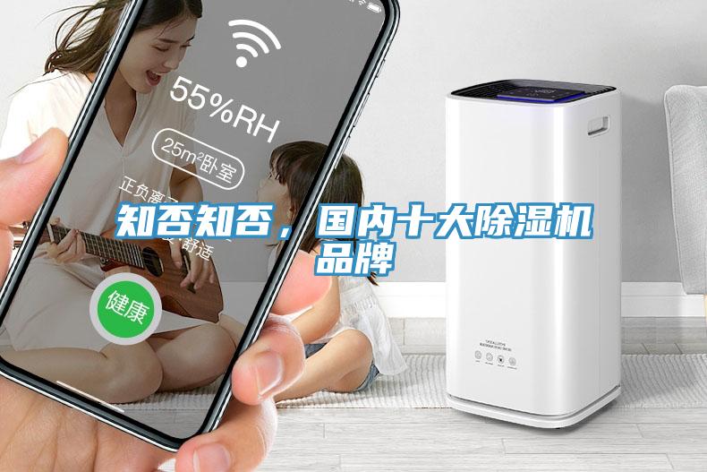 知否知否，國內(nèi)十大除濕機品牌