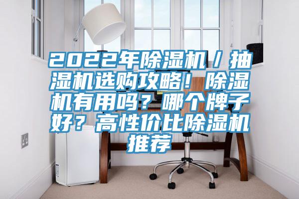 2022年除濕機／抽濕機選購攻略！除濕機有用嗎？哪個牌子好？高性價比除濕機推薦