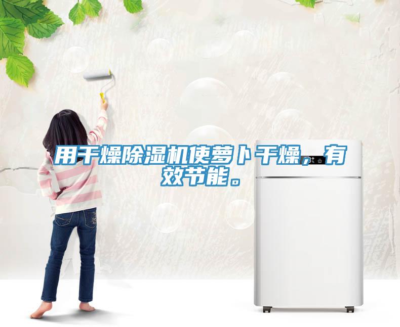 用干燥除濕機使蘿卜干燥，有效節(jié)能。