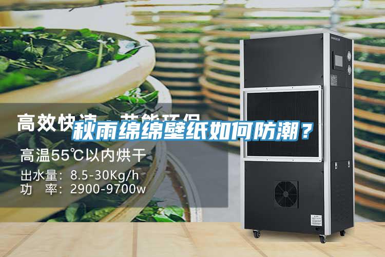 秋雨綿綿壁紙如何防潮？