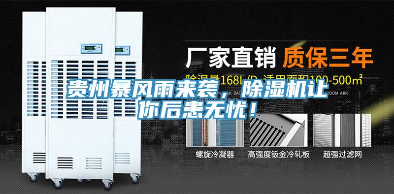貴州暴風(fēng)雨來襲，除濕機(jī)讓你后患無憂！