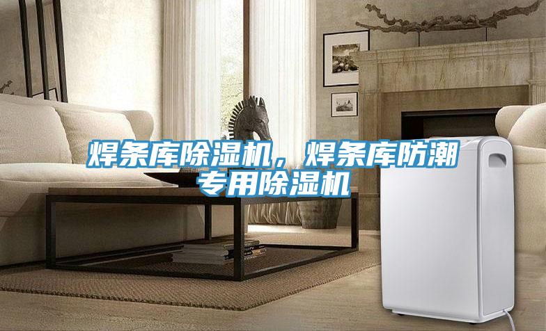 焊條庫除濕機(jī)，焊條庫防潮專用除濕機(jī)