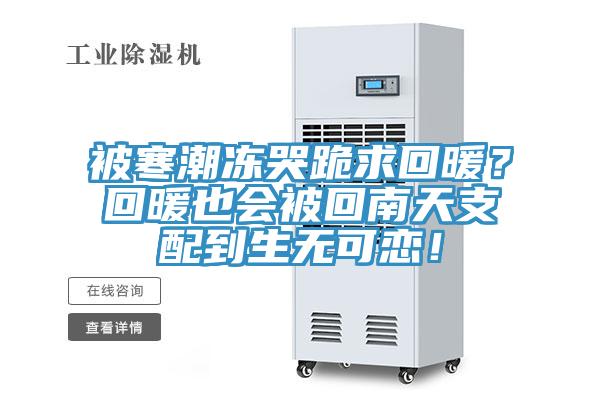 被寒潮凍哭跪求回暖？回暖也會被回南天支配到生無可戀！