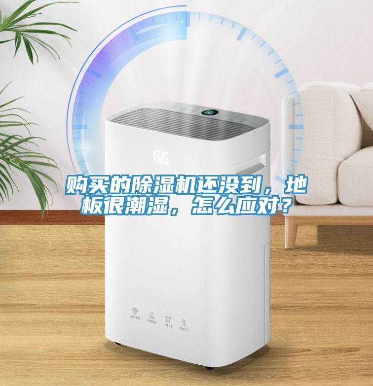 購(gòu)買的除濕機(jī)還沒到，地板很潮濕，怎么應(yīng)對(duì)？