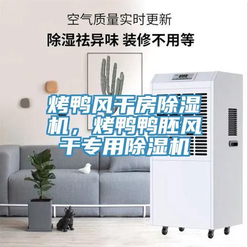 烤鴨風(fēng)干房除濕機(jī)，烤鴨鴨胚風(fēng)干專用除濕機(jī)