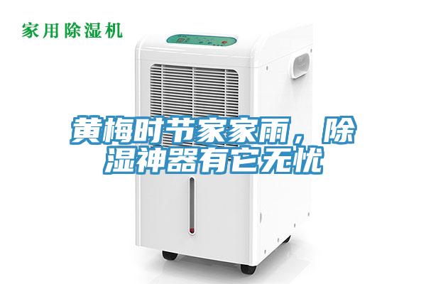 黃梅時(shí)節(jié)家家雨，除濕神器有它無(wú)憂