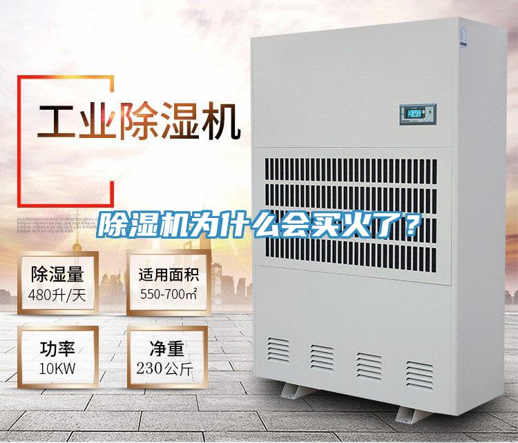 除濕機(jī)為什么會買火了？