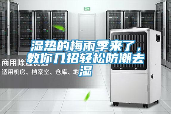 濕熱的梅雨季來了，教你幾招輕松防潮去濕