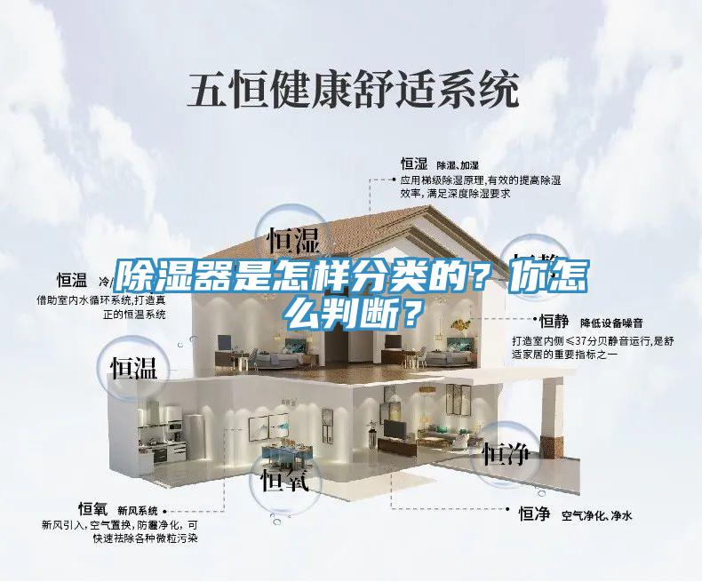 除濕器是怎樣分類的？你怎么判斷？