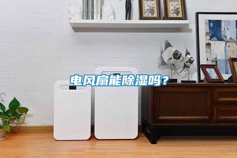 電風(fēng)扇能除濕嗎？