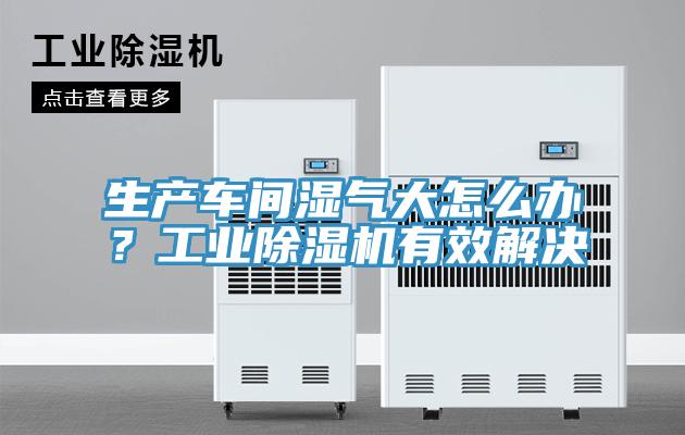 生產(chǎn)車間濕氣大怎么辦？工業(yè)除濕機(jī)有效解決