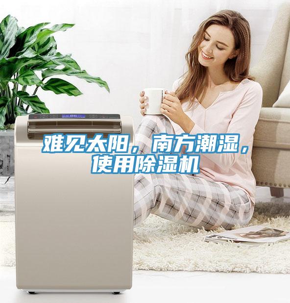 難見太陽，南方潮濕，使用除濕機(jī)