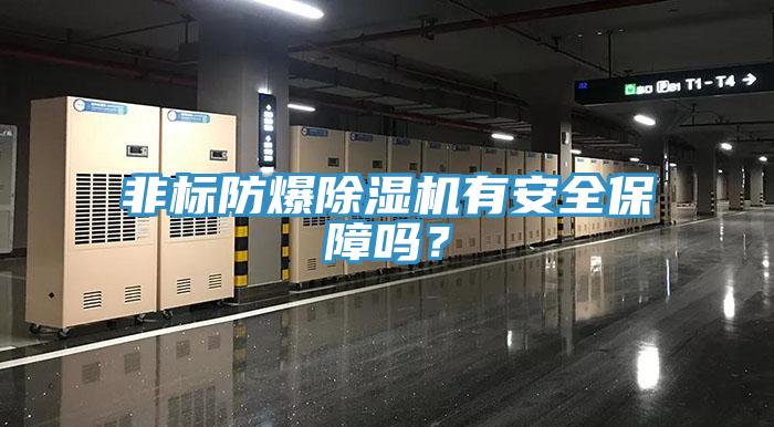 非標(biāo)防爆除濕機(jī)有安全保障嗎？