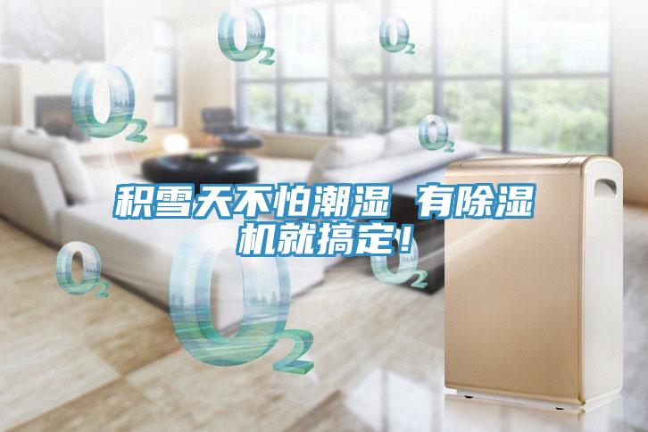 積雪天不怕潮濕 有除濕機就搞定！