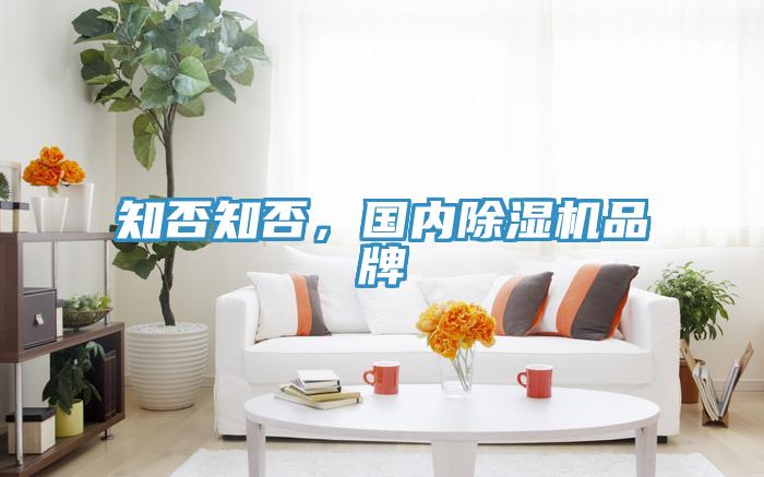 知否知否，國內(nèi)除濕機品牌