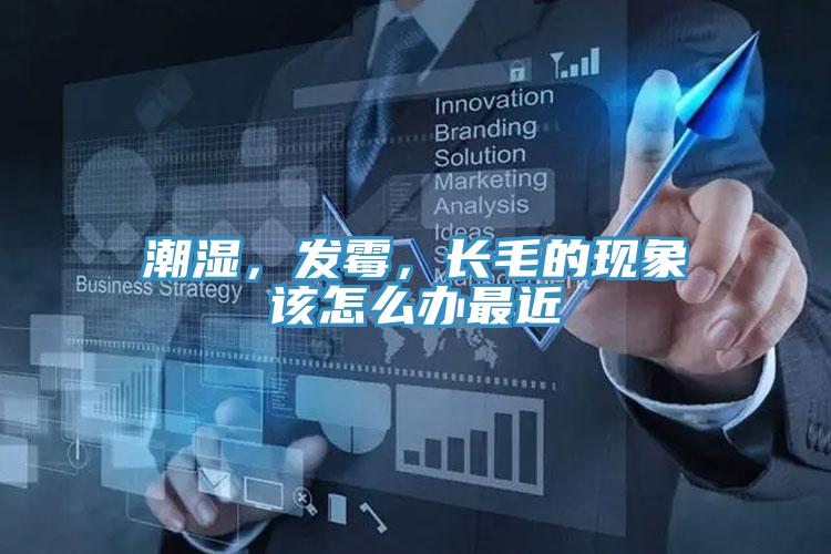 潮濕，發(fā)霉，長毛的現(xiàn)象該怎么辦最近