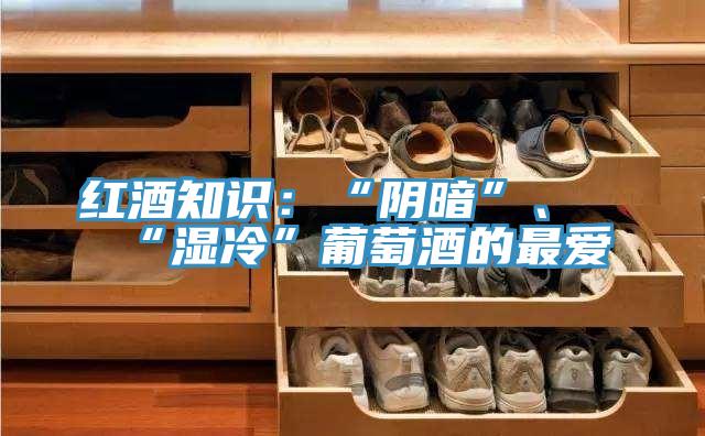 紅酒知識(shí)：“陰暗”、“濕冷”葡萄酒的最愛(ài)
