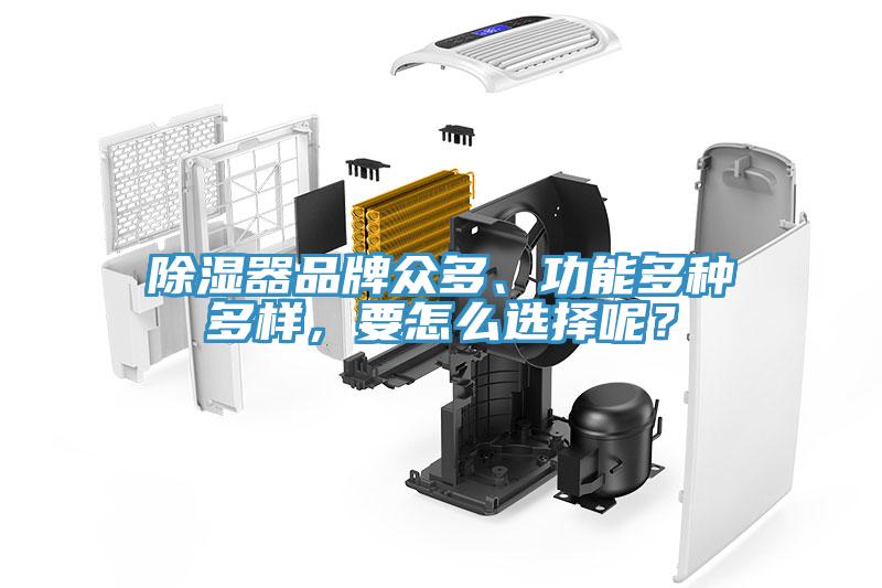 除濕器品牌眾多、功能多種多樣，要怎么選擇呢？