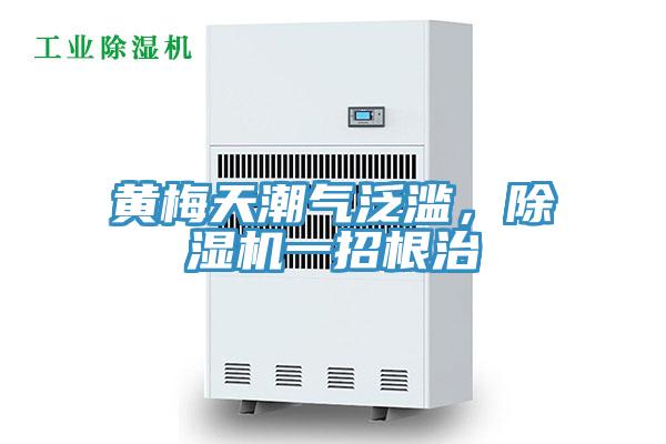 黃梅天潮氣泛濫，除濕機(jī)一招根治
