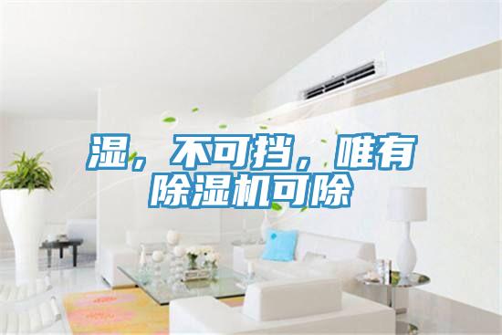 濕，不可擋，唯有除濕機(jī)可除
