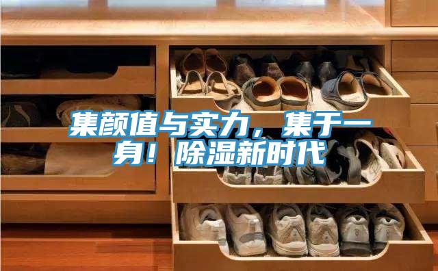 集顏值與實(shí)力，集于一身！除濕新時(shí)代