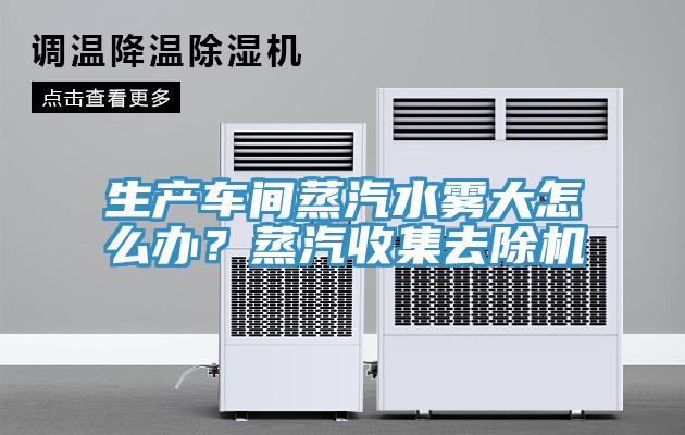 生產(chǎn)車間蒸汽水霧大怎么辦？蒸汽收集去除機(jī)