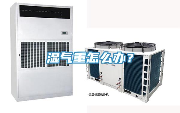 濕氣重怎么辦？
