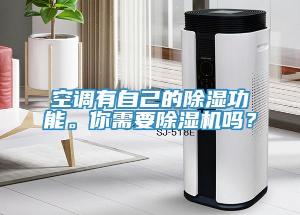 空調(diào)有自己的除濕功能。你需要除濕機嗎？