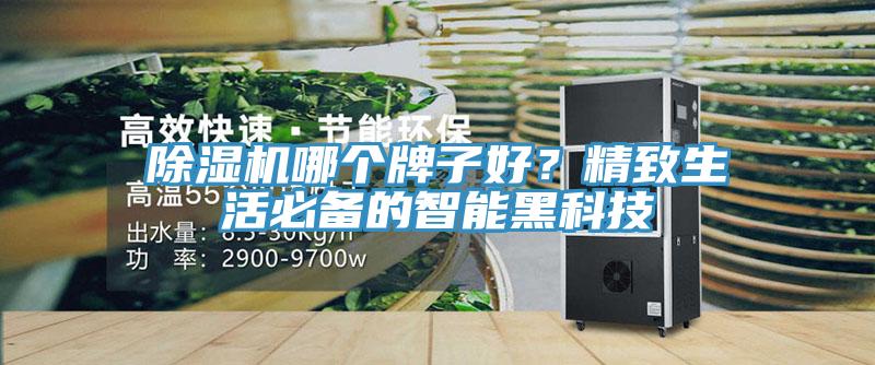 除濕機(jī)哪個牌子好？精致生活必備的智能黑科技
