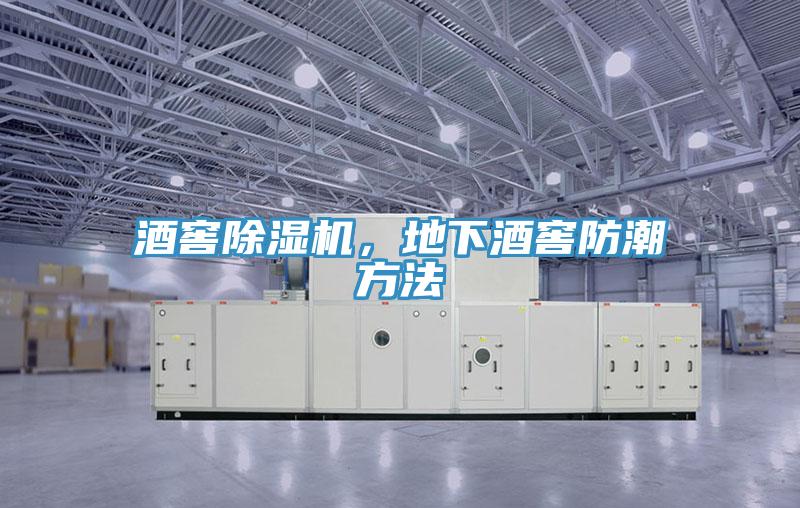 酒窖除濕機，地下酒窖防潮方法