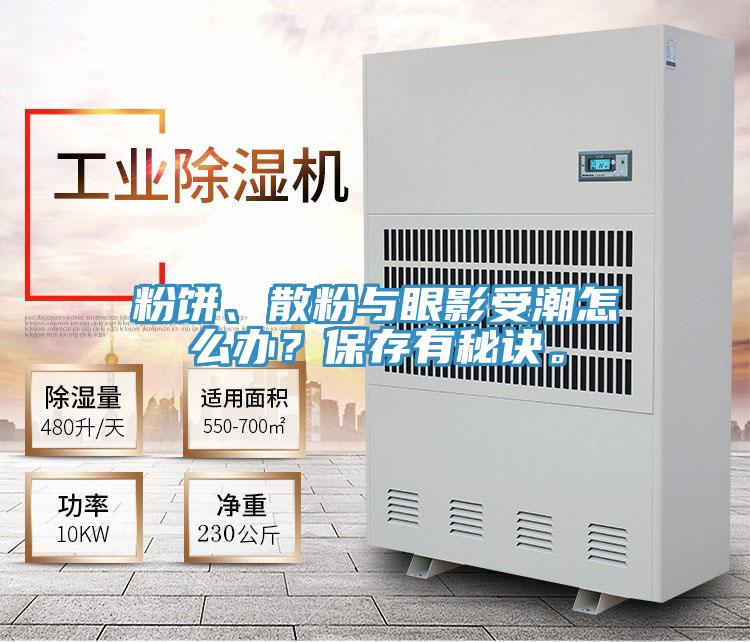 粉餅、散粉與眼影受潮怎么辦？保存有秘訣。