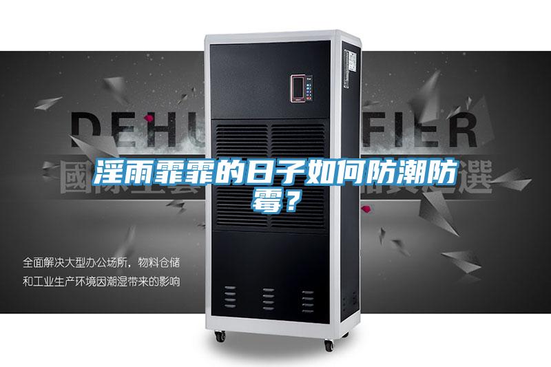 淫雨霏霏的日子如何防潮防霉？