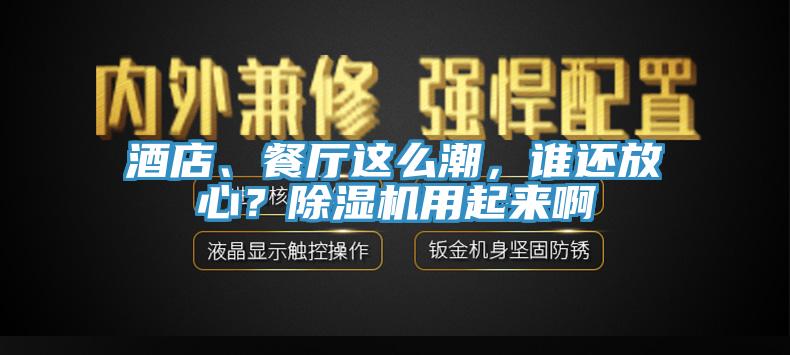 酒店、餐廳這么潮，誰還放心？除濕機用起來啊