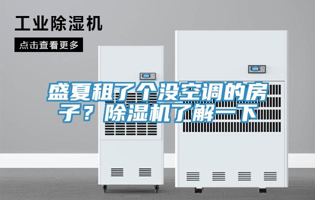 盛夏租了個沒空調(diào)的房子？除濕機了解一下