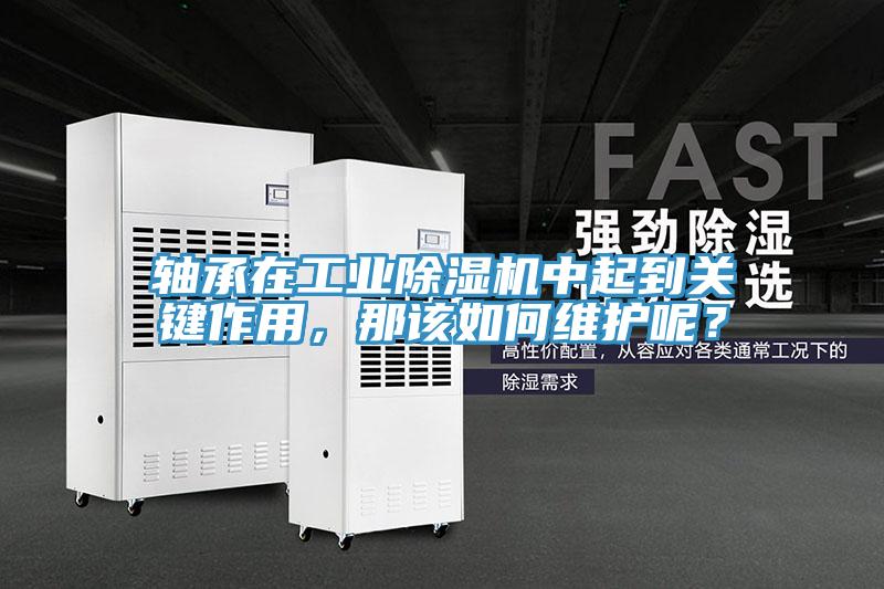 軸承在工業(yè)除濕機(jī)中起到關(guān)鍵作用，那該如何維護(hù)呢？