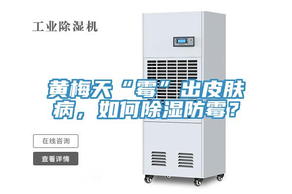 黃梅天“霉”出皮膚病，如何除濕防霉？