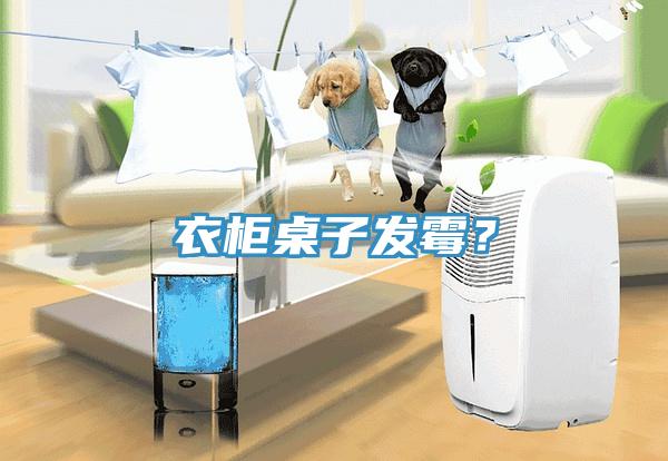 衣柜桌子發(fā)霉？