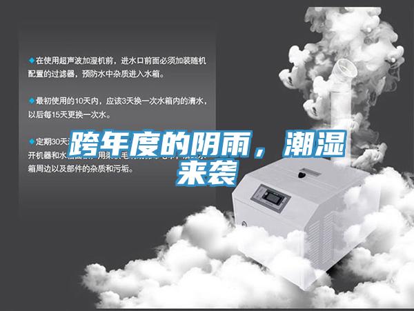 跨年度的陰雨，潮濕來襲
