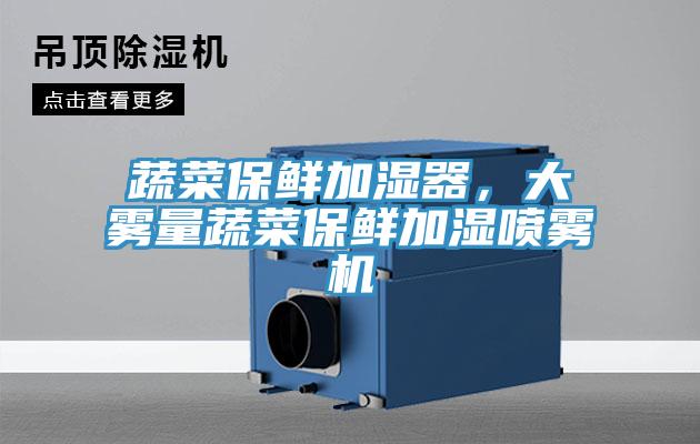 蔬菜保鮮加濕器，大霧量蔬菜保鮮加濕噴霧機(jī)