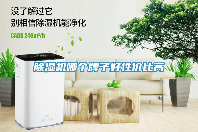 除濕機(jī)哪個牌子好性價比高