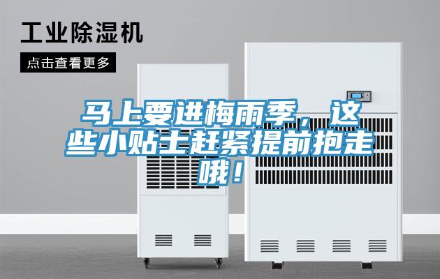 馬上要進(jìn)梅雨季，這些小貼士趕緊提前抱走哦！