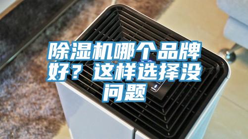 除濕機(jī)哪個品牌好？這樣選擇沒問題